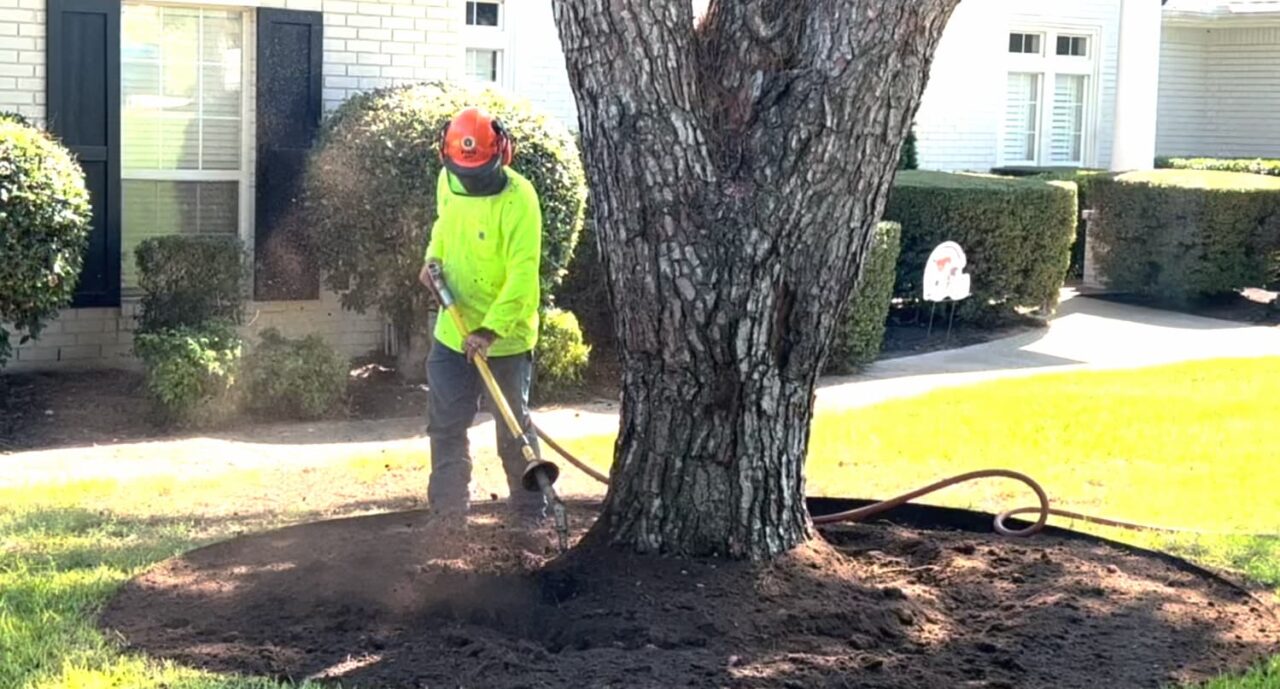 Tree & Shrub Aeration Services in Ponder, TX - Arborist USA